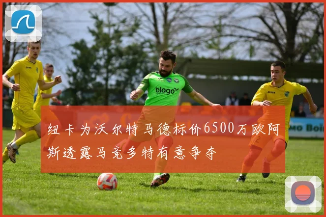 纽卡为沃尔特马德标价6500万欧阿斯透露马竞多特有意争夺