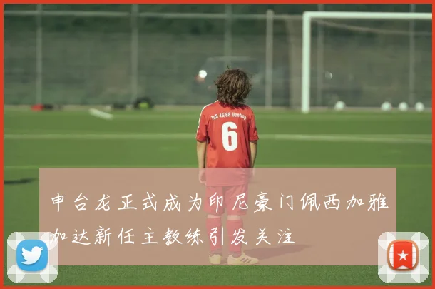 申台龙正式成为印尼豪门佩西加雅加达新任主教练引发关注